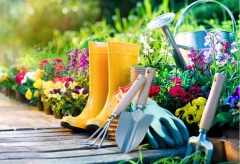 Найурожайніші дні для городніх та садових робіт у травні 2024