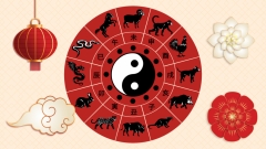 Мавпи – хитрі, Півні – егоїстичні: найгірші риси характеру знаків зодіаку за китайським гороскопом