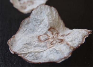 У Данії незабаром мають надійти до продажу...