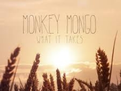 MONKEY MONGO