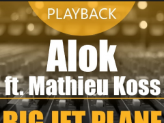 ALOK & MATHIEU KOSS