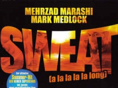 MARK MEDLOCK & MEHRZAD MARASHI