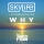 SKYLIFE &ndash; Why (Disco Fries Remix)