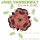 JANE VANDERBILT &ndash; Wishing On A Star (Remix By Yan Garen)