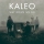 Kaleo &ndash; Way Down We Go (Menko Remix)