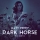 KATY PERRY &ndash; Dark Horse