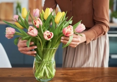 Віагра для квітів: як пігулка для потенції може допомогти трояндам і тюльпанам