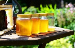 Як купити якісний мед: повний гід із вибору натурального продукту