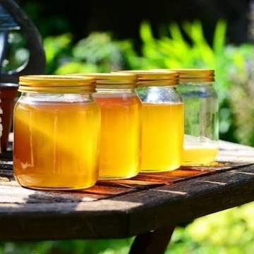 Як купити якісний мед: повний гід із вибору натурального продукту