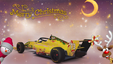 CHRISTMAS RACE. Перегони серед оленів Санти