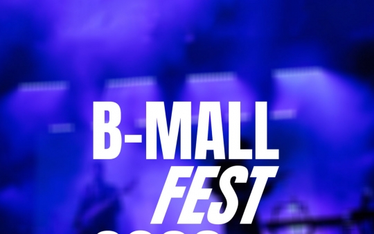 Проведення фестивалю «B-Mall Fest 2026» у Києві скасовано з міркувань безпеки