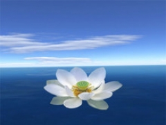 ANOKANA