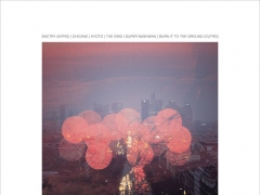 SWARMS