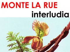 MONTE LA RUE