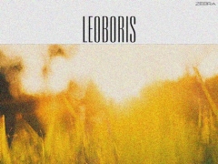 LEOBORIS