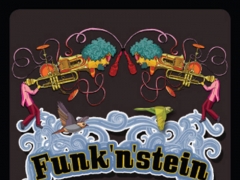 FUNK'N'STEIN