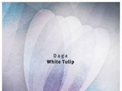 DAGA