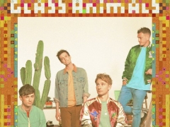 GLASS ANIMALS