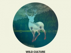 WILD CULTURE & KARMIN