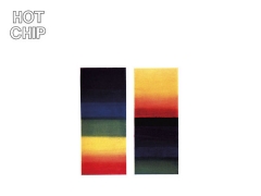 HOT CHIP & TODD TERJE