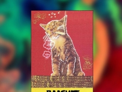BAASKAT