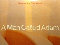 A MAN CALLED ADAM