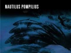 NAUTILUS POMPILIUS