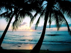 CAIBEDO ISLAND