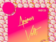 ANIMUS VOLT