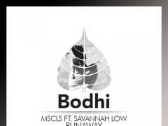 MSCLS & FEATURE CUTS & SAVANNAH LOW