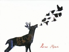 LOW ROAR
