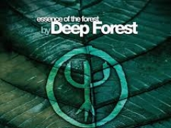 DEEP FOREST