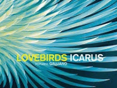 LOVEBIRDS, GALLIANO