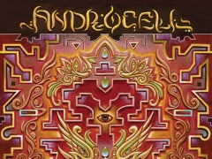 ANDROCELL