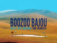 BOOZOO BAJOU FEAT. WAYNE MARTIN