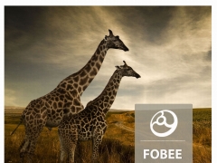 FOBEE