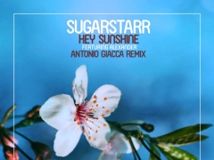 SUGARSTARR & ALEXANDER