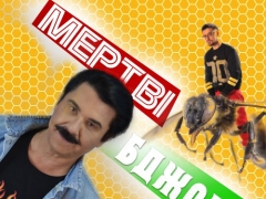 ПАВЛО ЗІБРОВ & JULIK