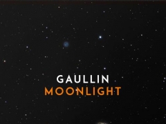 GAULLIN