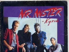 MR.MISTER