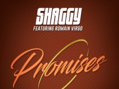 SHAGGY