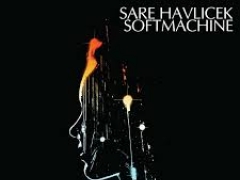 SARE HAVLICEK