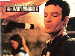 DANDY WARHOLS