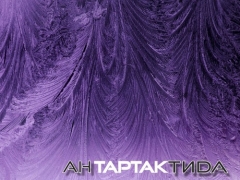 НУМЕР 482 & ТАРТАК