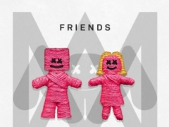 MARSHMELLO & ANNE MARIE