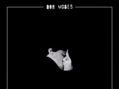 BOB MOSES