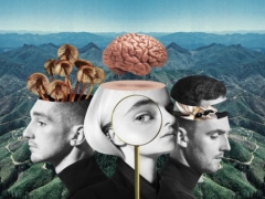 CLEAN BANDIT & ELLIE GOULDING