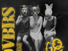 DVBBS & BRIDGE
