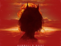 HAMMALI & NAVAI