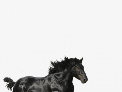 LIL NAS